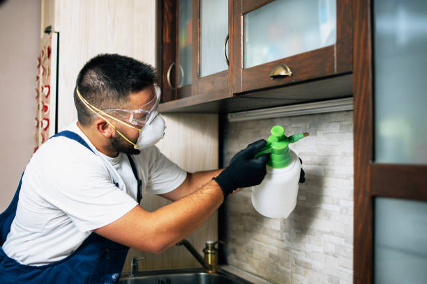 Best Pest Inspection Near Me  in Sigourney, IA