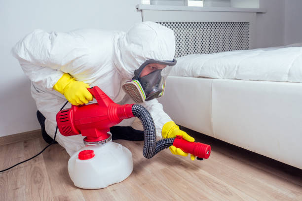 Best Cockroach Control Services  in Sigourney, IA
