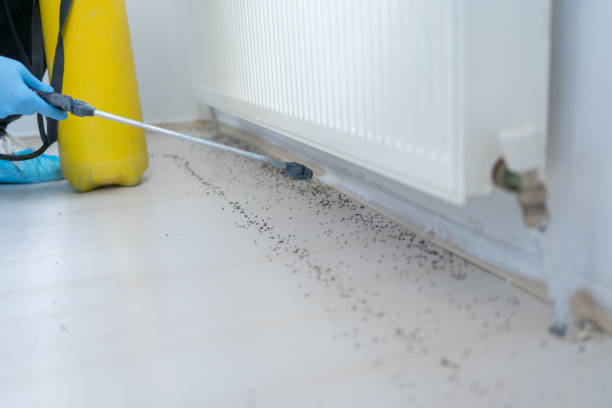 Best Mosquito Control Services  in Sigourney, IA