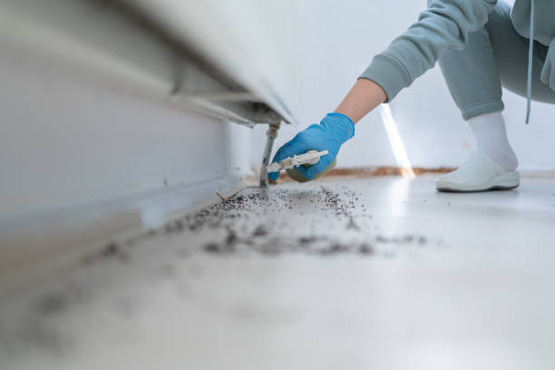 Wildlife Control Services in Sigourney, IA